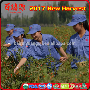 Goji berry new harvest fruits for diabetics dried fruit